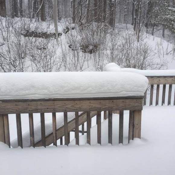 Meet your Posher, Knick - Picture 1 of 1